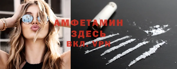 mdpv Вяземский