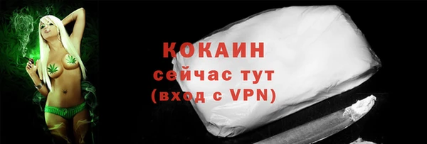 mdpv Вяземский