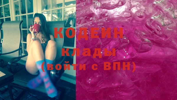 mdpv Вяземский