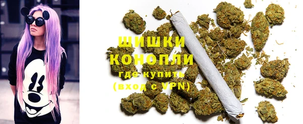 mdpv Вяземский