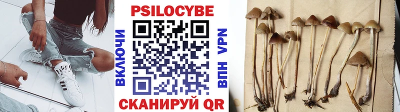 Купить где  Красновишерск  Псилоцибиновые грибы Magic Shrooms 